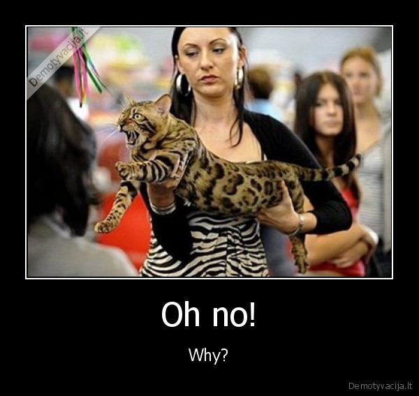 Oh no!