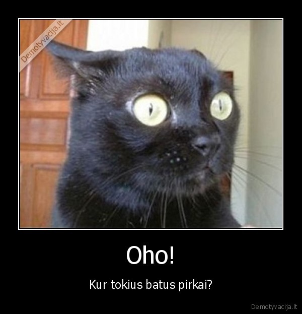 Oho!