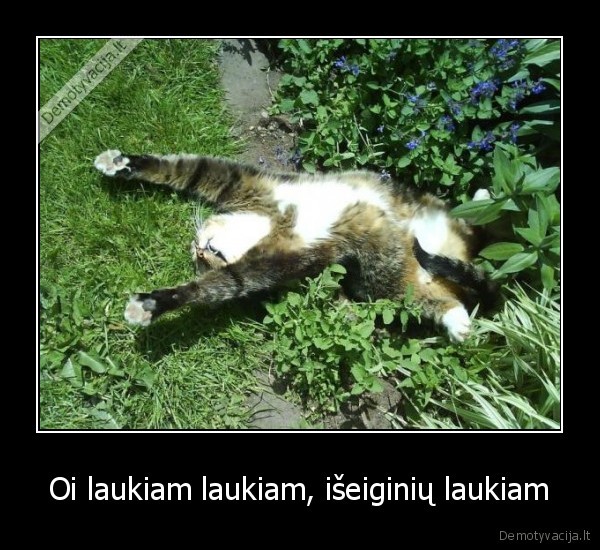 Oi laukiam laukiam, išeiginių laukiam