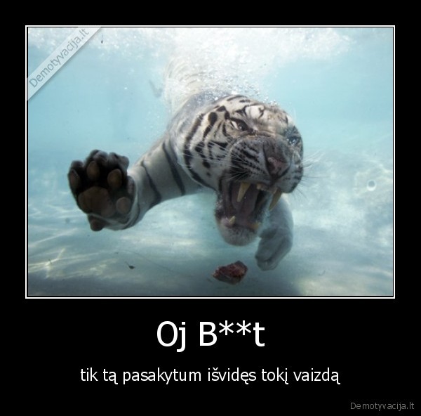 tiger