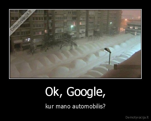 automobilis,rasti