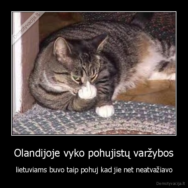 Olandijoje vyko pohujistų varžybos