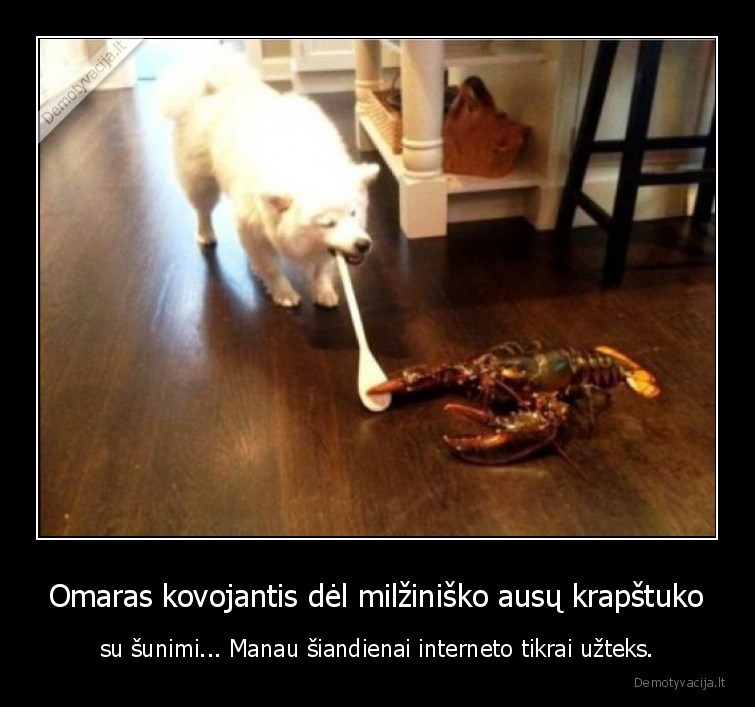 omaras,suo,krapstukas,wtf
