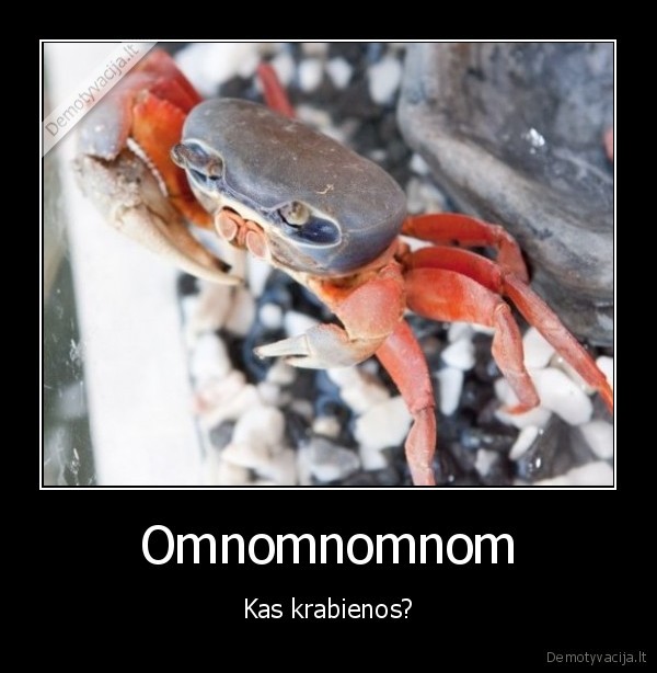 Omnomnomnom