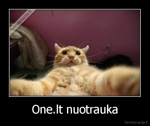 trololo