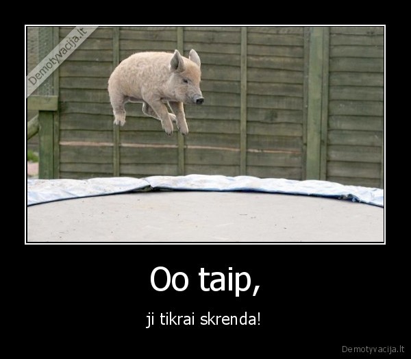 Oo taip,