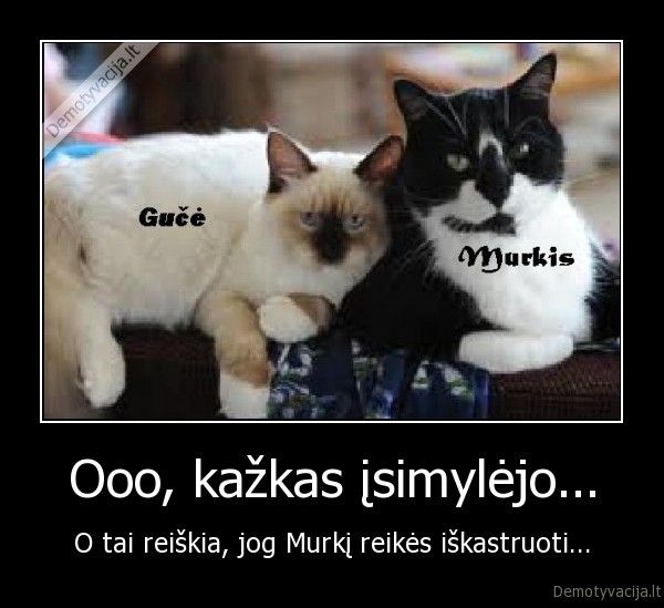 Ooo, kažkas įsimylėjo...