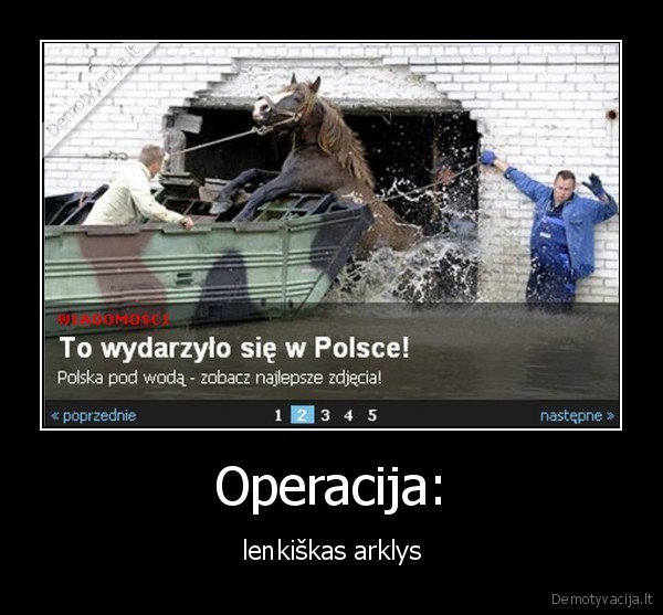 fail,r4zj