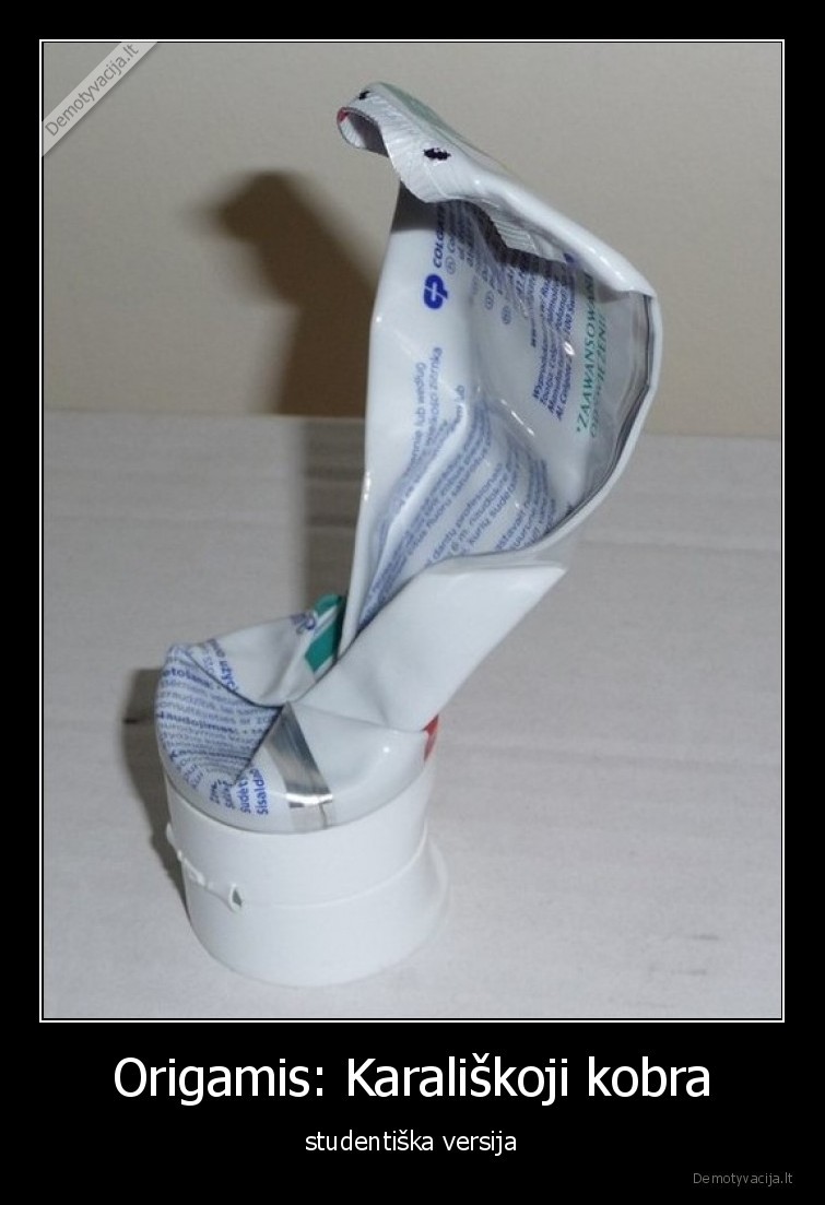 studentas,kobra,karaliskoji,origamis