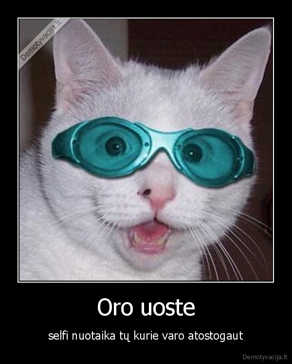 Oro uoste