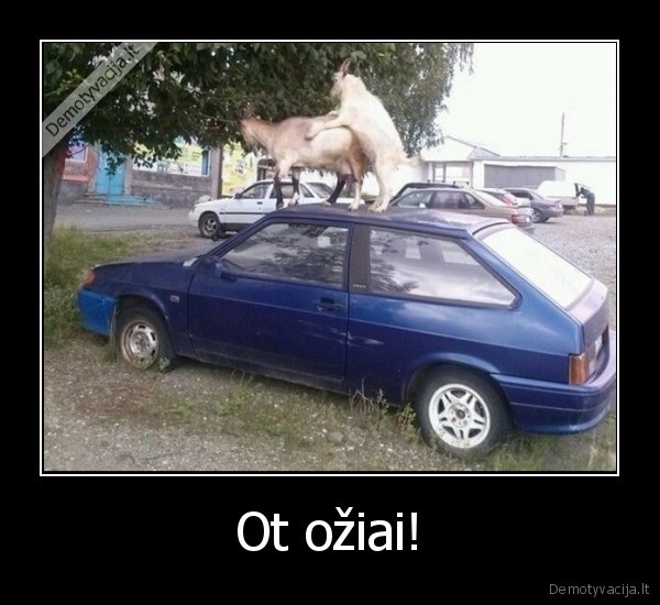 oziai