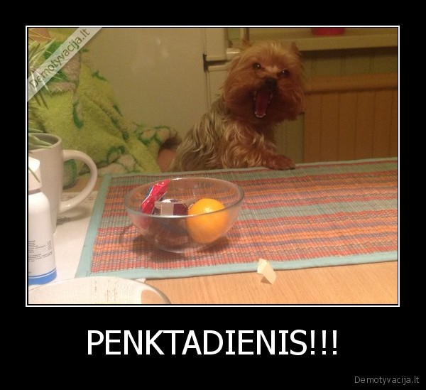 PENKTADIENIS!!!