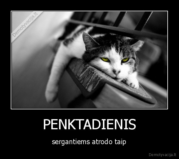 penktadienis