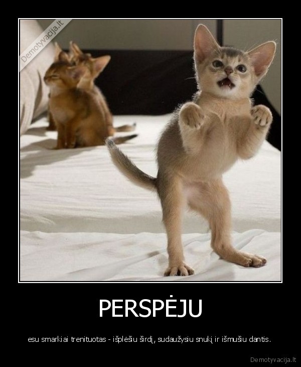 PERSPĖJU
