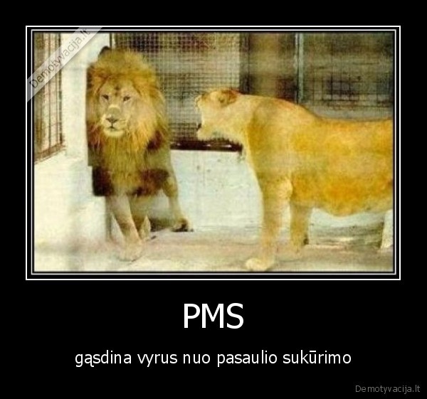 pms,moteris,vyras,moterys,vyrai,pasaulis,juokingi