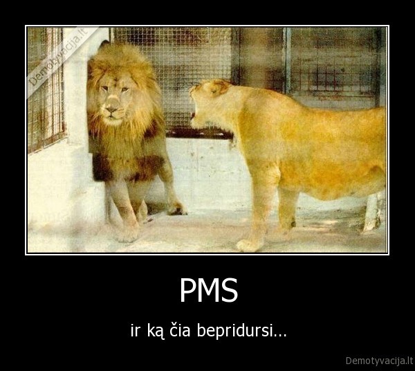 PMS