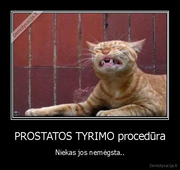 kates,procedura