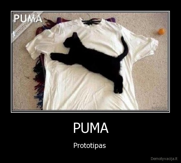 puma