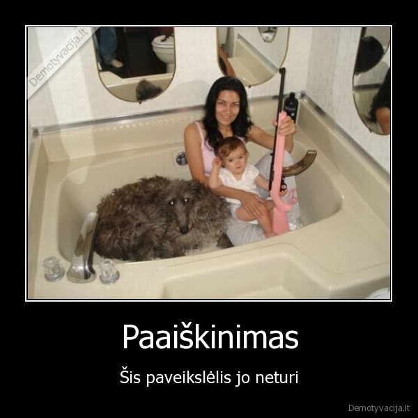 Paaiškinimas