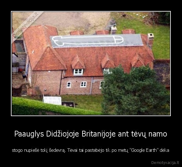 google, nuotraukos,bibis