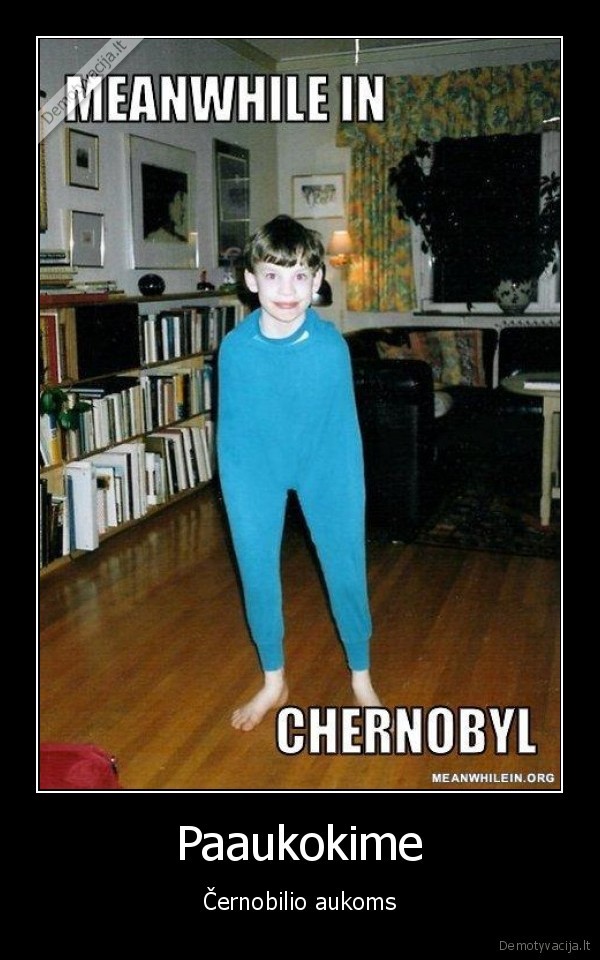 meanwhile,in,cernobilis