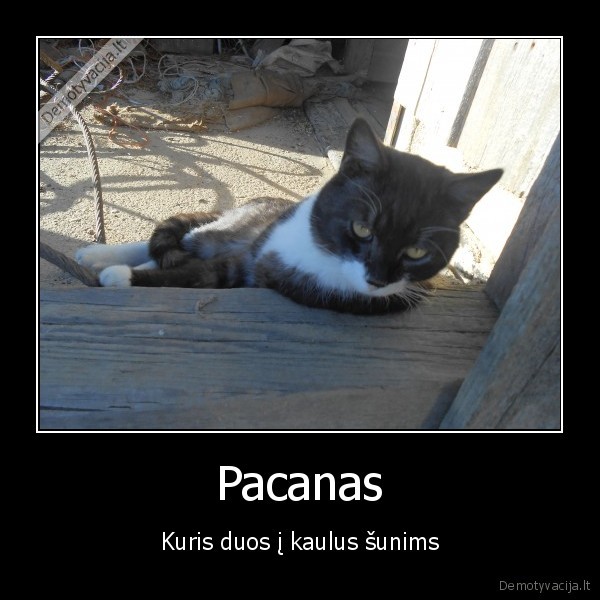 Pacanas
