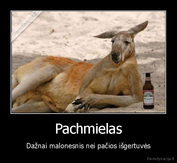 pacmielas,gyvunai,alus,tusas