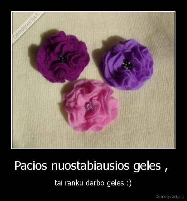 Pacios nuostabiausios geles , 