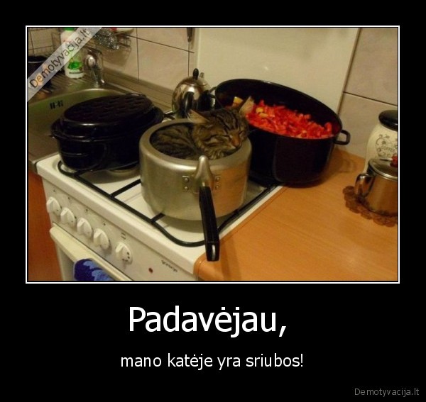 as, valgau, zebrus, bei, pandas, kai, niekas, nemato, 