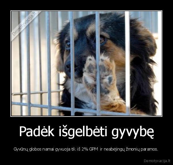 globa,gyvunai