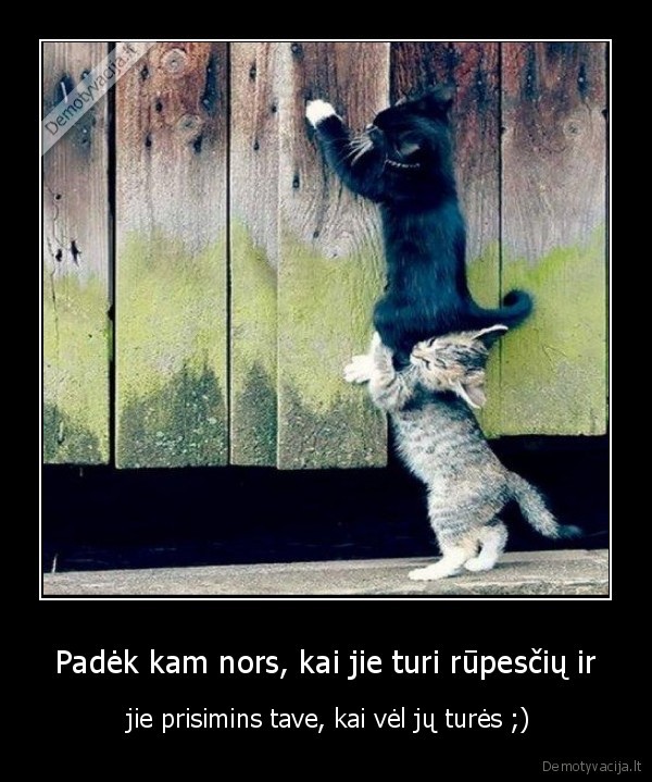 padek, draugui