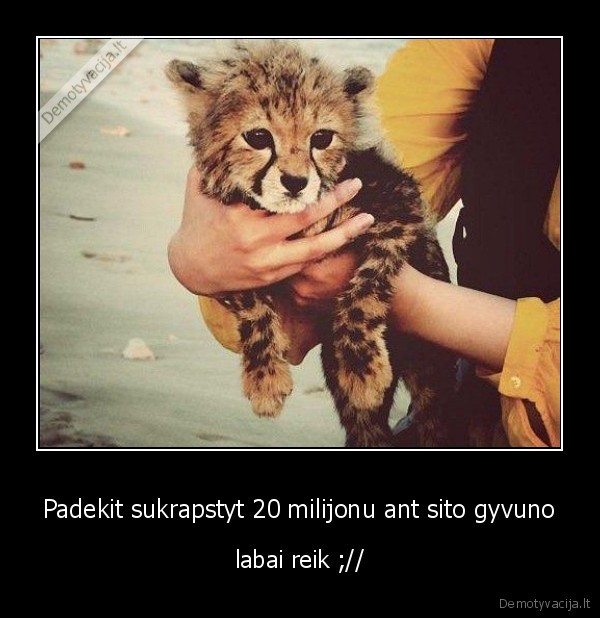 julija,mes, gausim, tau, ji