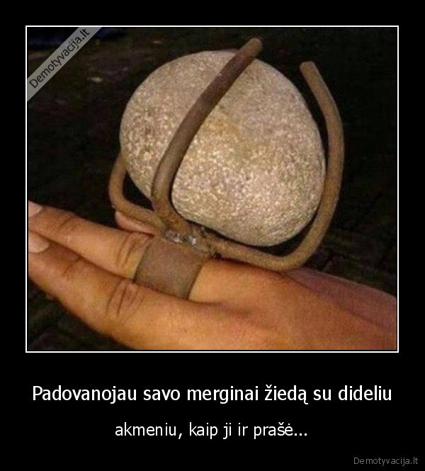 ziedas,akmuo