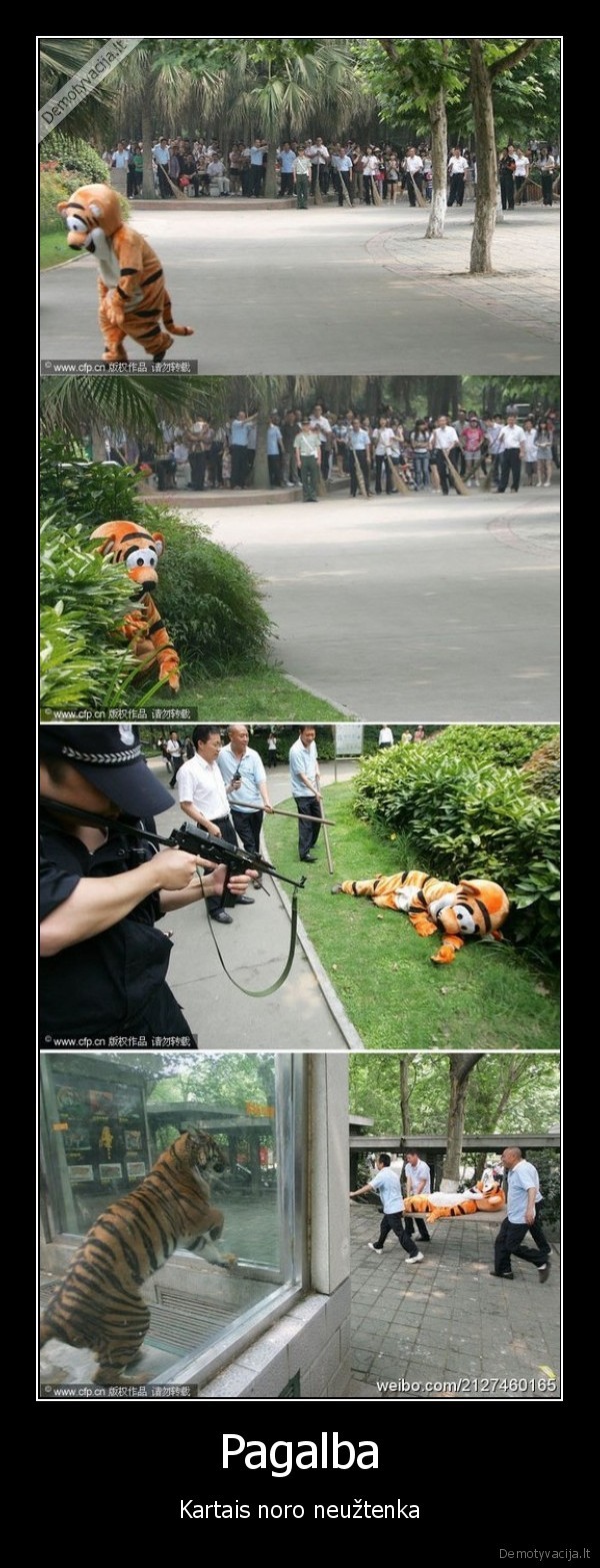 tigras,disney