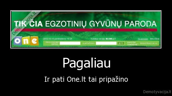 one.lt, meslas, nesamone, gyvunai