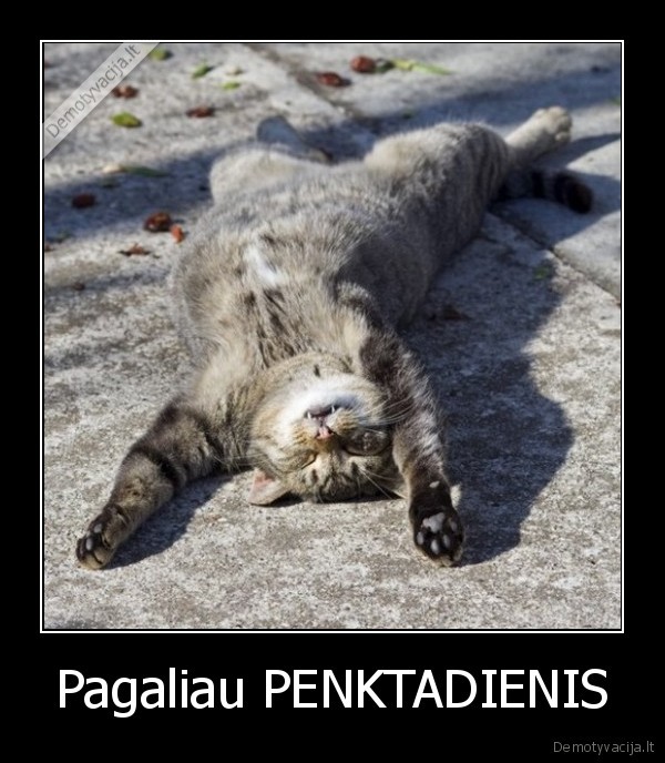 Pagaliau PENKTADIENIS