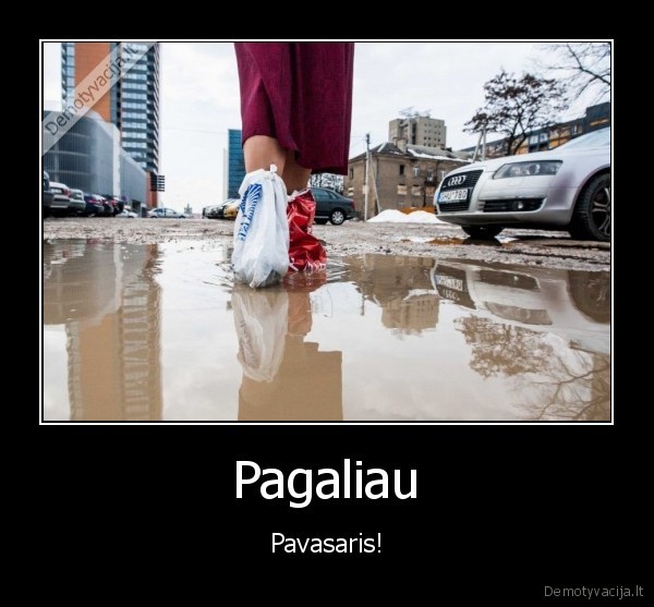 pavasaris,purvynai,pliurza