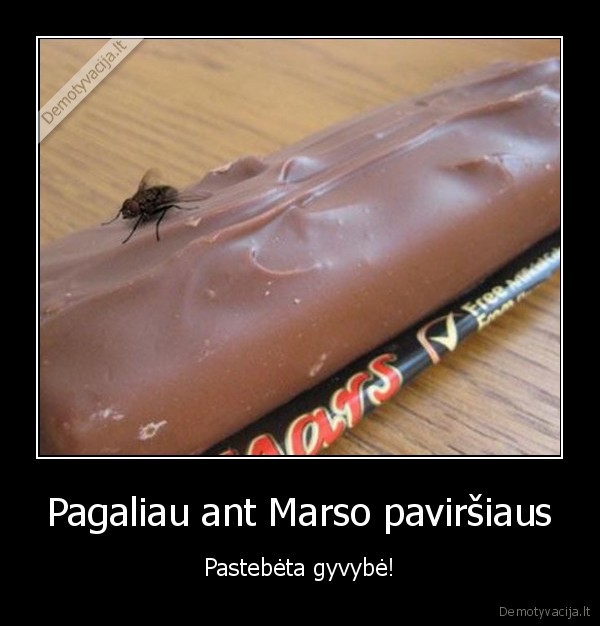 marsas,sokoladukas,muse