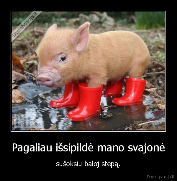 Pagaliau išsipildė mano svajonė