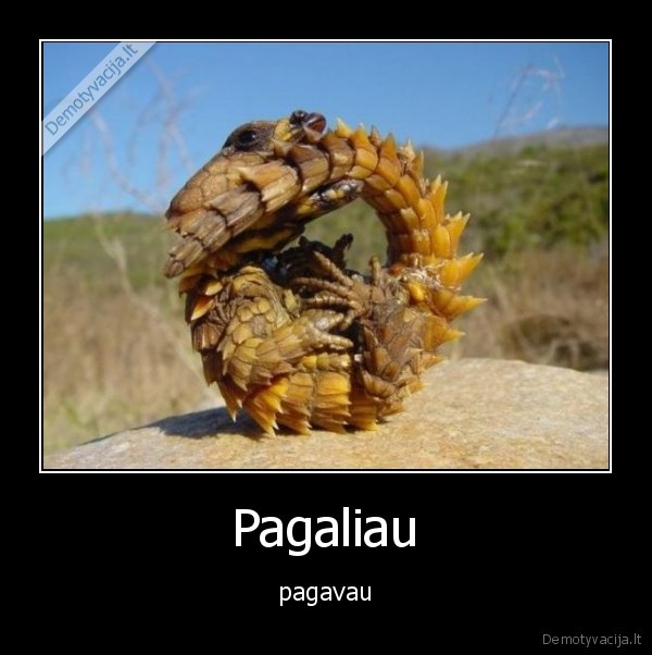 Pagaliau