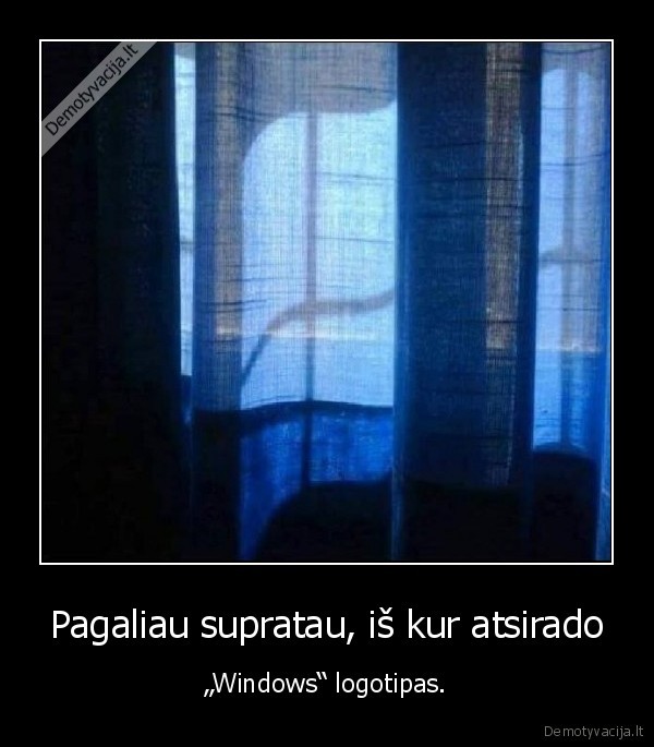 windows,microsoft,logotipas,langai