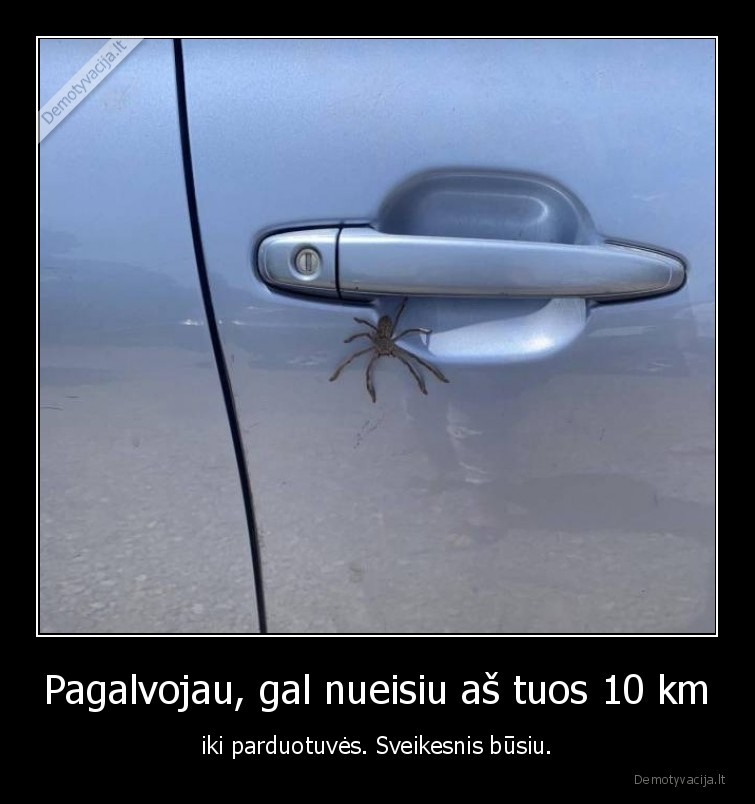 voras,fobija,masina