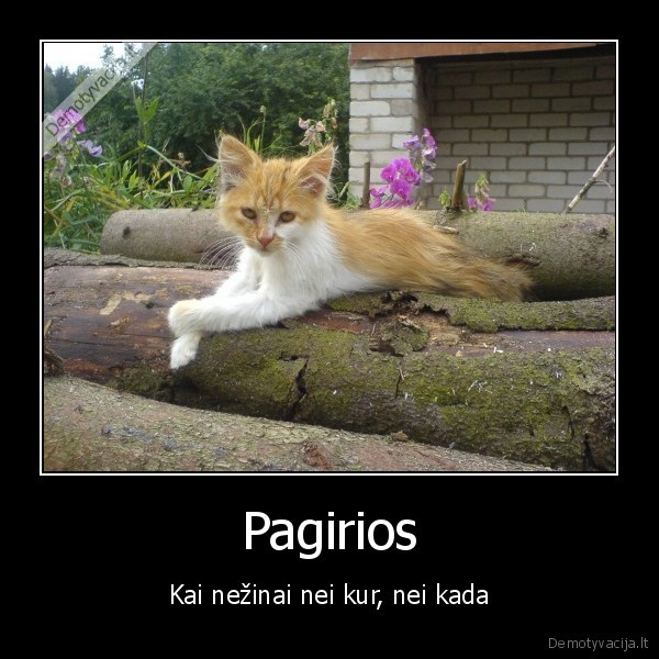 Pagirios