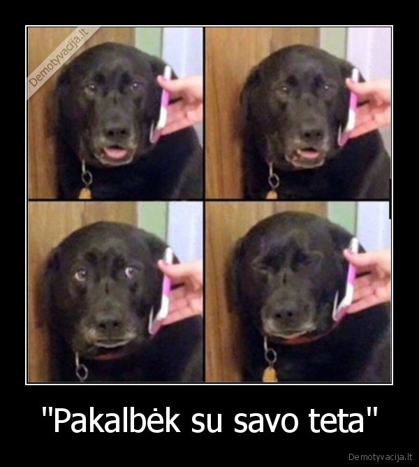 nenori, kalbeti,pokalbis, telefonu