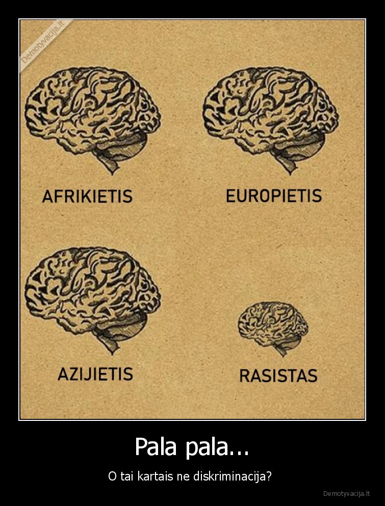 rasizmas,diskriminacija,tolerantiskumas,smegenys