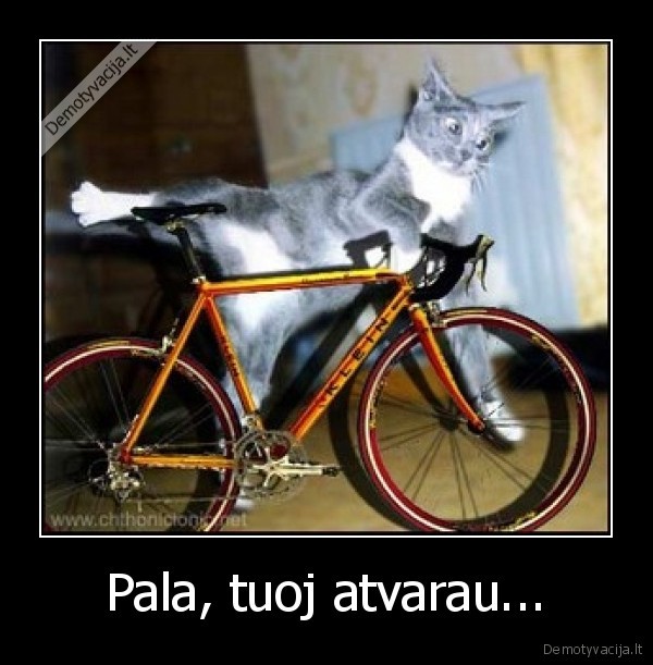 Pala, tuoj atvarau...