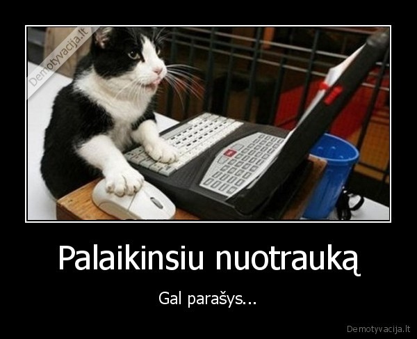 like,parasys,raso
