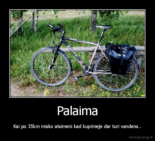 Palaima