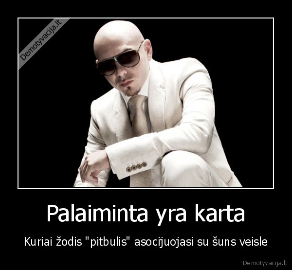 pitbull,pitbulis,jaunyste