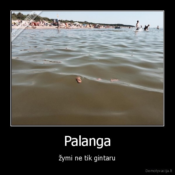 palanga,gintaras